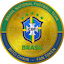 Brazil National Football Team Fan Token