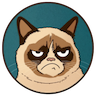 Grumpy Cat