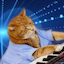 Keyboard Cat (Base)