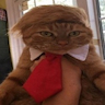 DONALDCAT