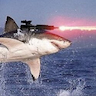 Laser Shark