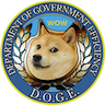 Department Of Government Efficiency