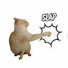 Slap cat