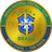 Brazil National Football Team Fan Token