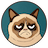 Grumpy Cat