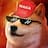 MAGA DOGE