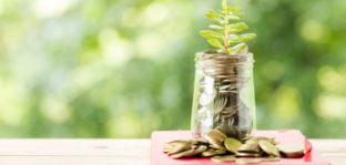 Найбільш привабливі депозити листопада 2025 року