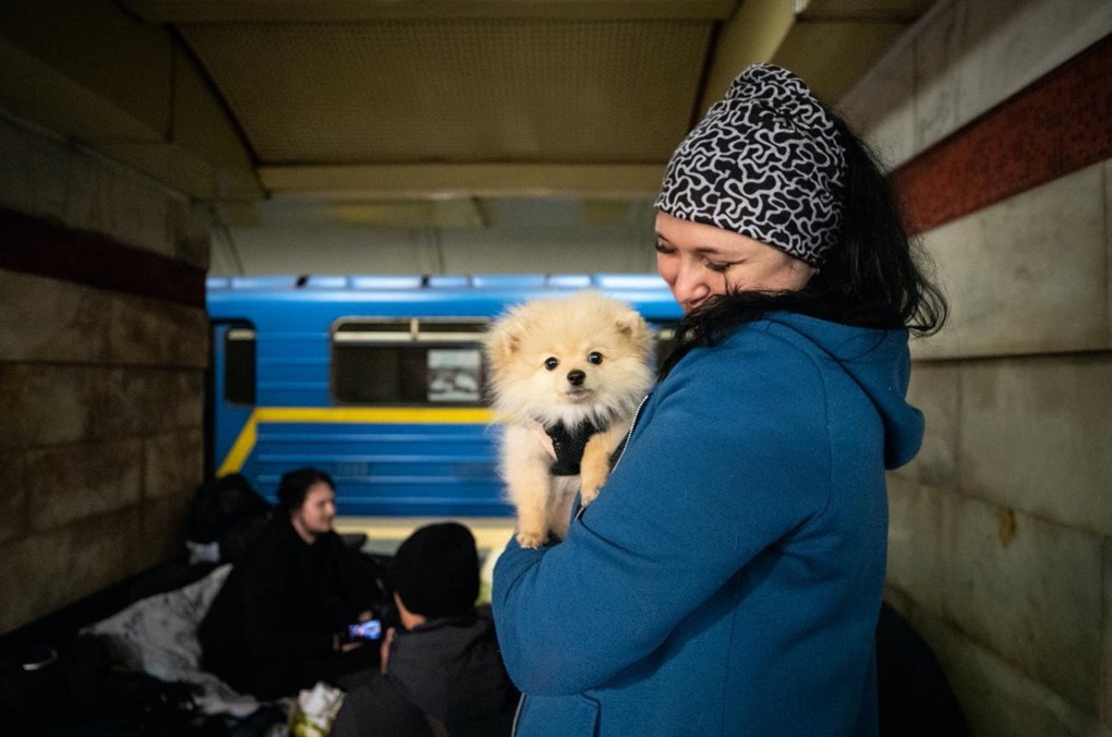 метро укриття