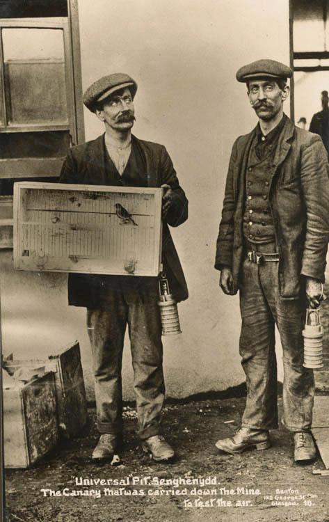 Англійські шахтарі з канаркою